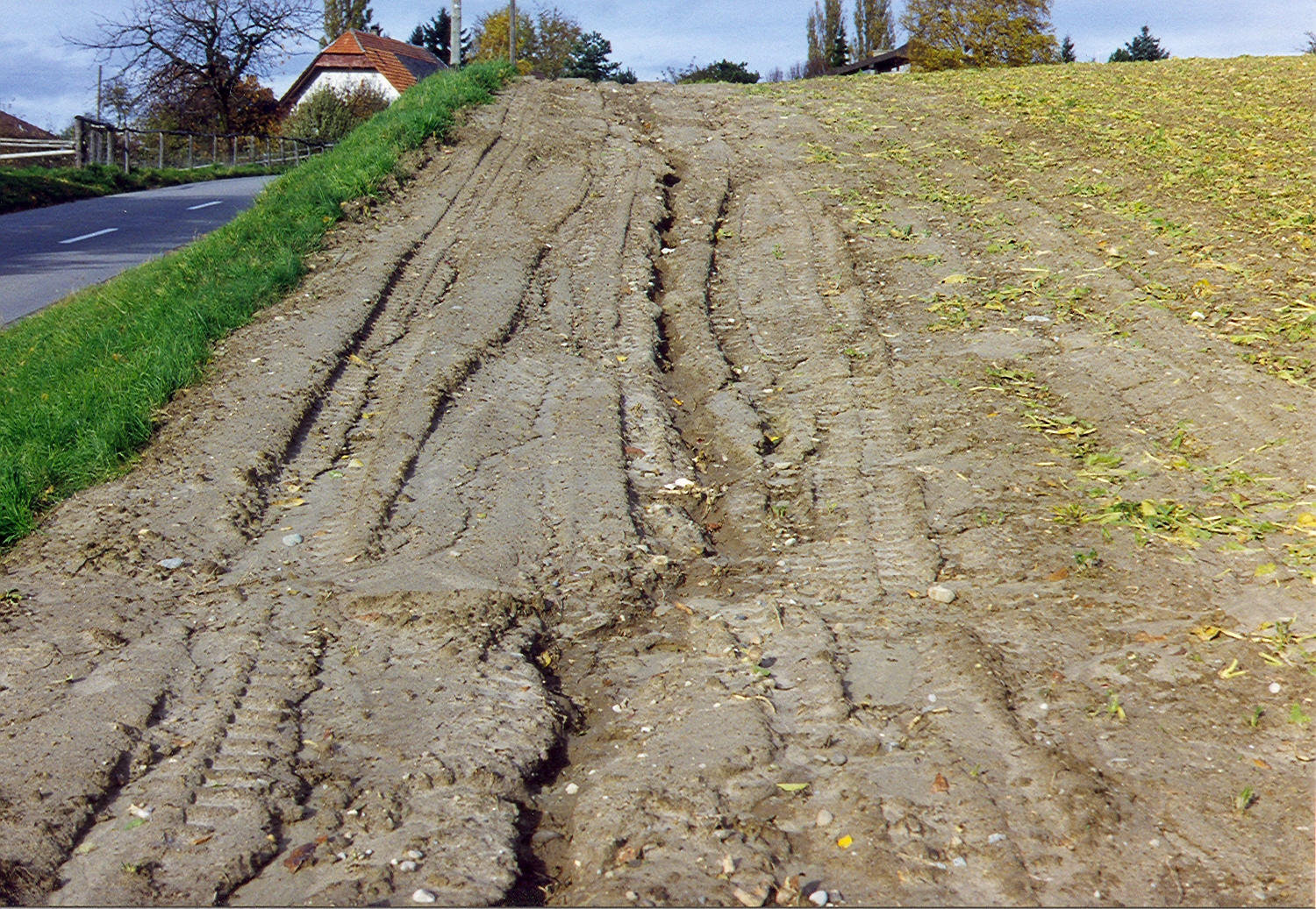 Read more about the article Soil Compaction: Prevention and Management